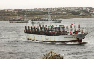 Algo como el 60% del ingreso de las Falklands proviene de la exportación de productos de pesca, £80millones al año, y casi el 95% de esa cifra es Europa (Foto n. Bonner)