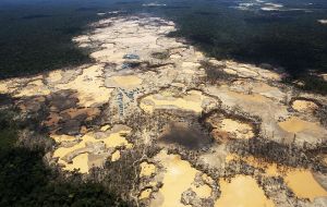 Miles de mineros alentados por el oro, han desatado en menos de una década una fiebre por extraer el metal de las capas superficiales de bosques y ríos amazónicos 