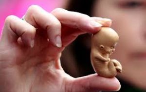 El estudio, que se llevó a cabo con la colaboración de la OMS, también concluye que las legislaciones restrictivas no reducen el número de abortos.