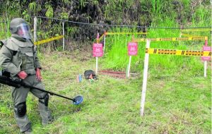 De las 11.408 víctimas que han dejado las minas antipersonales instaladas por grupos armados en Colombia, 2.255 han fallecido entre civiles (830)