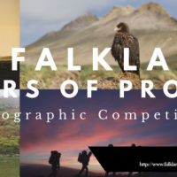 Falklands lanza competencia de fotos para celebrar 35 años de ... - MercoPress