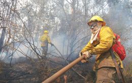  Más de 4.500 bomberos voluntarios y brigadistas forestales además de unos 4.600 militares policías y funcionarios públicos, se enfrentan a los voraces incendios
