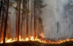 En Suecia combaten 27 incendios, con más de 25.000 hectáreas quemadas en varios  condados, así como otros del oeste de la vecina Noruega