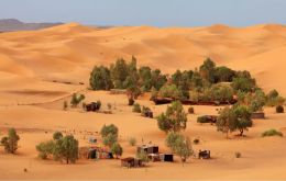 CNRS explicó que esos “más de mil 800 millones” de árboles en el Sahara cubren “un área de 1.3 millones de kilómetros cuadrados