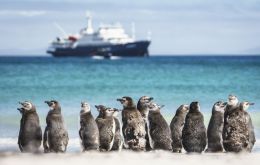 Un 83% respondió que SI a la pregunta, “Está de acuerdo con el concepto de designar las primeras aéreas marinas administradas para las Islas Falkland?”