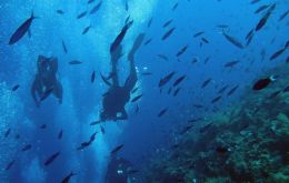 Con la aprobación del texto, los Estados miembros han “insuflado nueva vida y esperanza para dar al océano una oportunidad de luchar”, afirmó Guterres