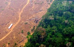 “Con Brasil, estamos decididos a preservar los bosques”, dijo Macron 