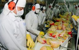 La carne de ave y los huevos exportados a Japón deberán haber sido producidos después del 5 de diciembre de 2023