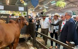 Ostfield felicitó a los productores de carne paraguaya por ser aceptados en el mercado estadounidense