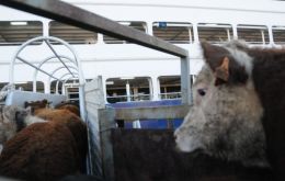 El ganado vivo registró un crecimiento del 740%, pasando de 4 a 31 millones de dólares