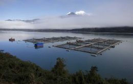 La acuicultura comercial tiene muchas posiciones en contra, y ambientalistas toman como ejemplo muchos de los errores que se han cometido con la cría de salmones en regiones de Chile 