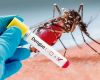 En lo que va del año se reportaron 358 personas fallecidas por dengue en Argentina