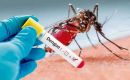 En lo que va del año se reportaron 358 personas fallecidas por dengue en Argentina