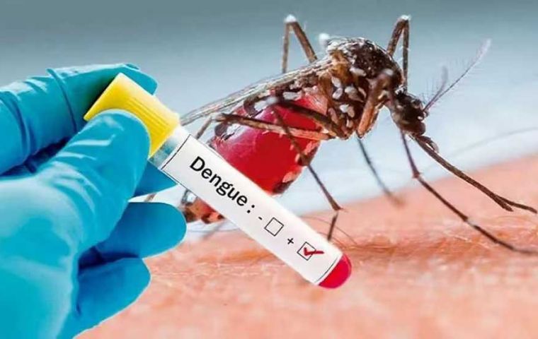 En lo que va del año se reportaron 358 personas fallecidas por dengue en Argentina