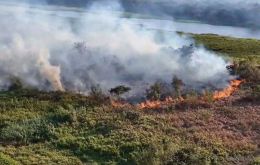 El gobernador de Mato Grosso do Sul, Eduardo Riedel, declaró la situación de emergencia en los municipios del estado afectados por los incendios forestales