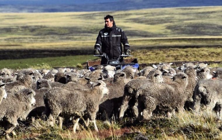 La agricultura ha pasado a ser un peso muerto, que recibe abundante ayuda de un generoso presupuesto del gobierno de las Islas y necesariamente debe cambiar su orientación y razones de explotación