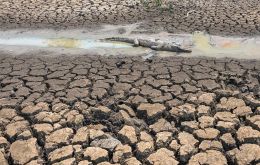 El cambio climático y El Niño se encuentran entre los factores que contribuyen a este fenómeno