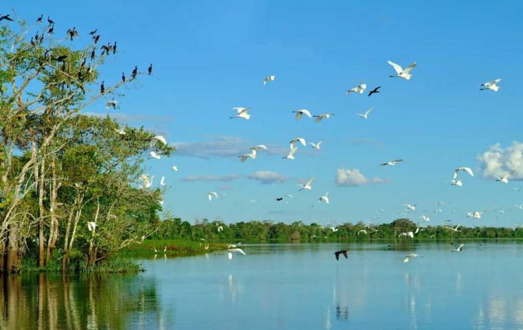 La iniciativa de la Autoridad Climática había sido debatida después de que Lula ganara en 2022. Crisis ambientales en Rio Grande do Sul y Amazonas la han desempolvado