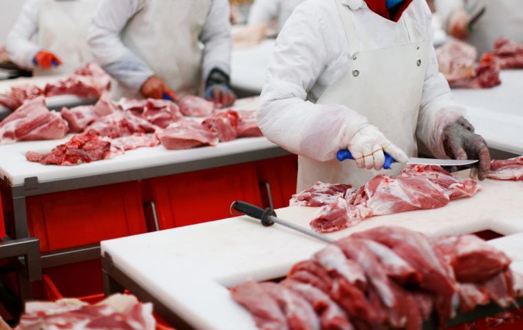 Chile representa el 50% de las exportaciones de carne vacuna de Paraguay