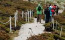 Turistas explorando las islas Falkland