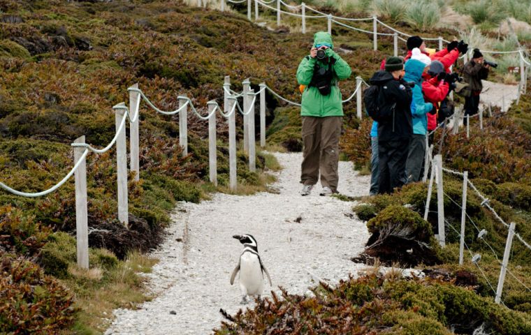 Turistas explorando las islas Falkland