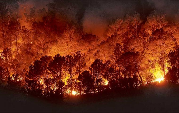 “Cuando el bosque arde por primera vez, se vuelve más susceptible a otros incendios”, explicó Alencar 