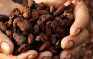 Los productores de cacao afirman que el plazo del 30 de diciembre fijado por la UE para prohibir los productos procedentes de zonas deforestadas era “poco realista”