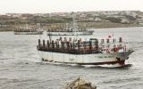 La pesca continúa como la industria de mayor trascendencia para la economía de las Islas Falkland (Foto N Bonner)