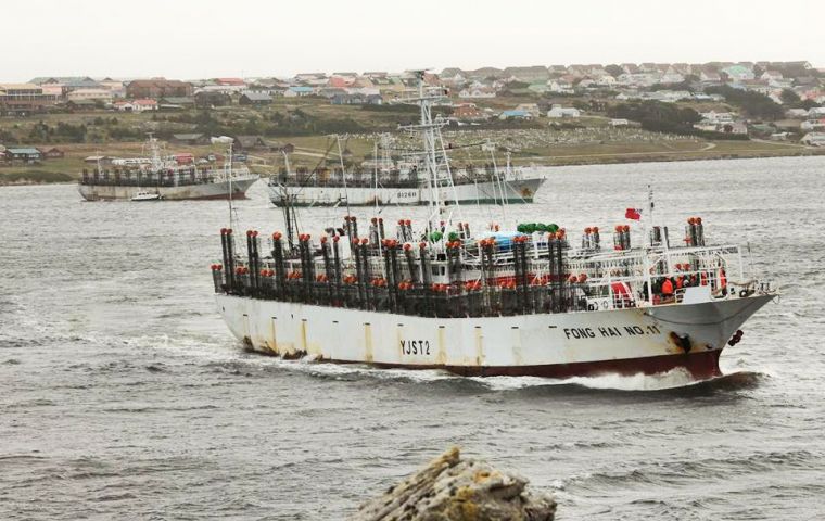 La pesca continúa como la industria de mayor trascendencia para la economía de las Islas Falkland (Foto N Bonner)