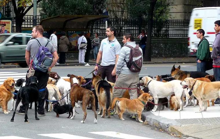 No es necesario registrar animales utilizados en producción agrícola