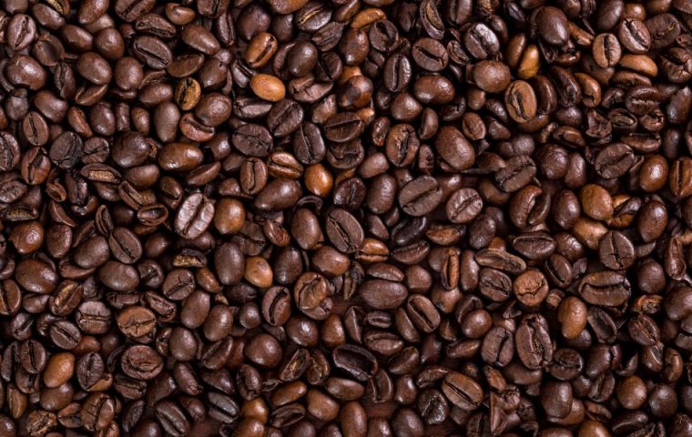 El clima desfavorable presagia una menor producción de café a largo plazo