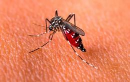”Se observa una mayor prevalencia del virus del dengue serotipo DEN-1 (64%)”, mencionó también el Ministerio de Salud