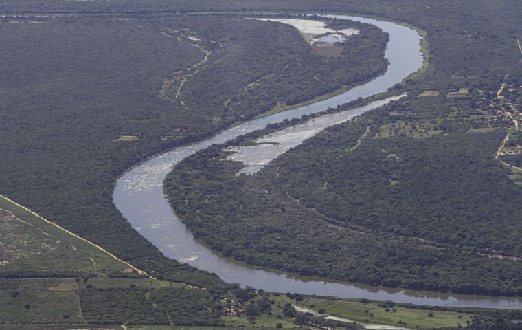 En 2024, el Cerrado fue el bioma brasileño con la mayor superficie deforestada por segundo año consecutivo