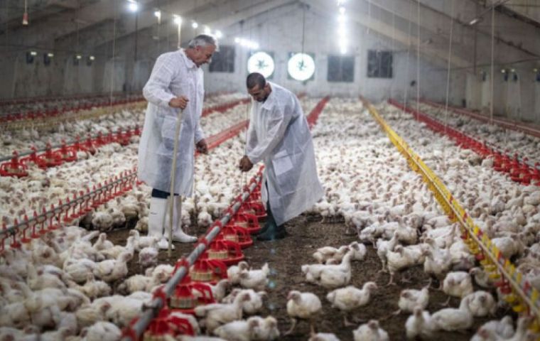 Brasil espera reanudar los envíos a China en menos de 60 días, explicó Fávaro