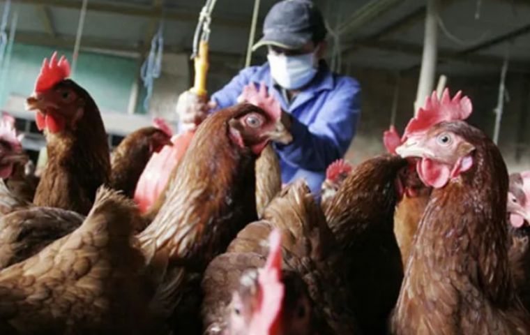 El Senacsa adoptó esta medida mientras espera la autorización para iniciar exportaciones de carne de res a Filipinas