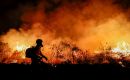 El cambio climático puede dificultar la recuperación natural de los bosques tras los incendios