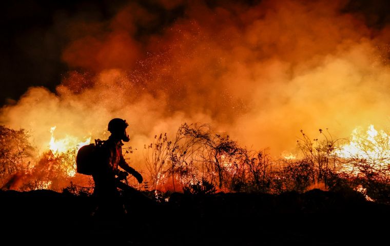 El cambio climático puede dificultar la recuperación natural de los bosques tras los incendios