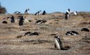La propuesta de la defensa de transferir la propiedad de ciertas tierras fue rechazada