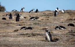 La propuesta de la defensa de transferir la propiedad de ciertas tierras fue rechazada