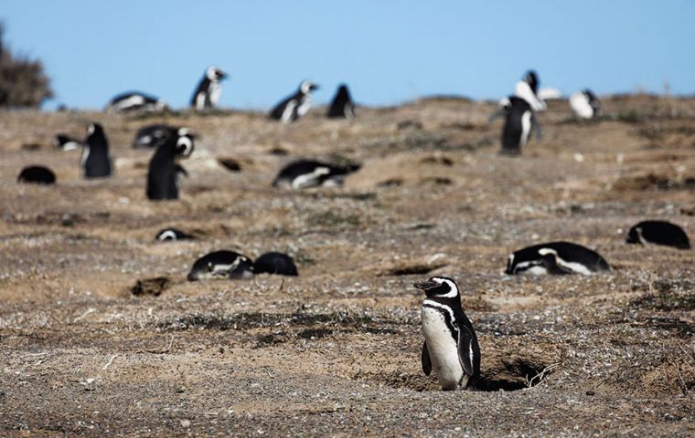 La propuesta de la defensa de transferir la propiedad de ciertas tierras fue rechazada