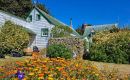Stanley en que todas las viviendas cuentan con jardines para flores o vegetales 