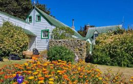 Stanley en que todas las viviendas cuentan con jardines para flores o vegetales 