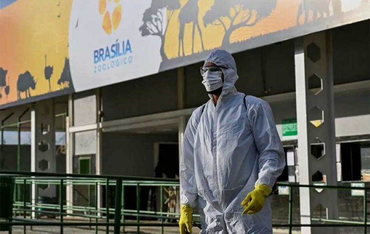 El informe de un emú hallado sin vida el 11 de junio se publicó este lunes