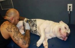 Las sanciones también se aplican a los salones de tatuajes que realicen estas prácticas