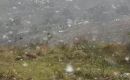También se reportaron otras nevadas en la provincia argentina de Buenos Aires, pero ninguna en zonas densamente pobladas