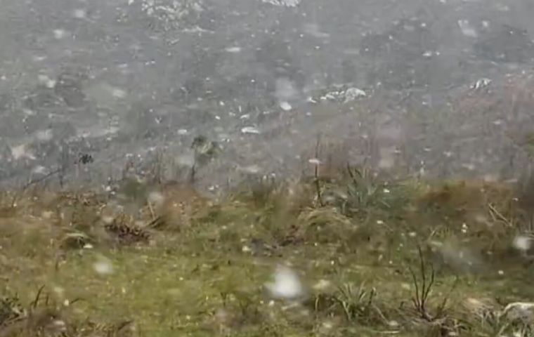 También se reportaron otras nevadas en la provincia argentina de Buenos Aires, pero ninguna en zonas densamente pobladas