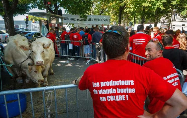 Los manifestantes reaccionaron ante declaraciones del presidente Emmanuel Macron
