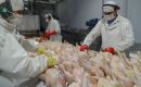 Brasil dejó de exportar unas 123.000 toneladas de pollo debido a la detección de la gripe aviar