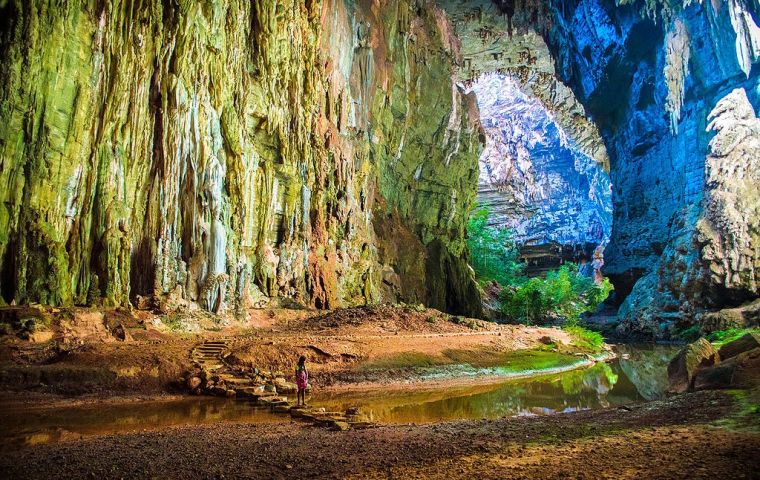 A pesar de su valor, el parque solo recibió 14.600 visitantes en 2024
