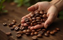 El café boliviano tiene potencial para un mayor crecimiento y diversificación de destinos
